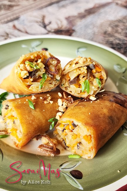 Spring Rolls Appetizer