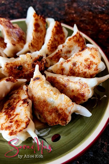 Gyoza Dumplings Appetizer